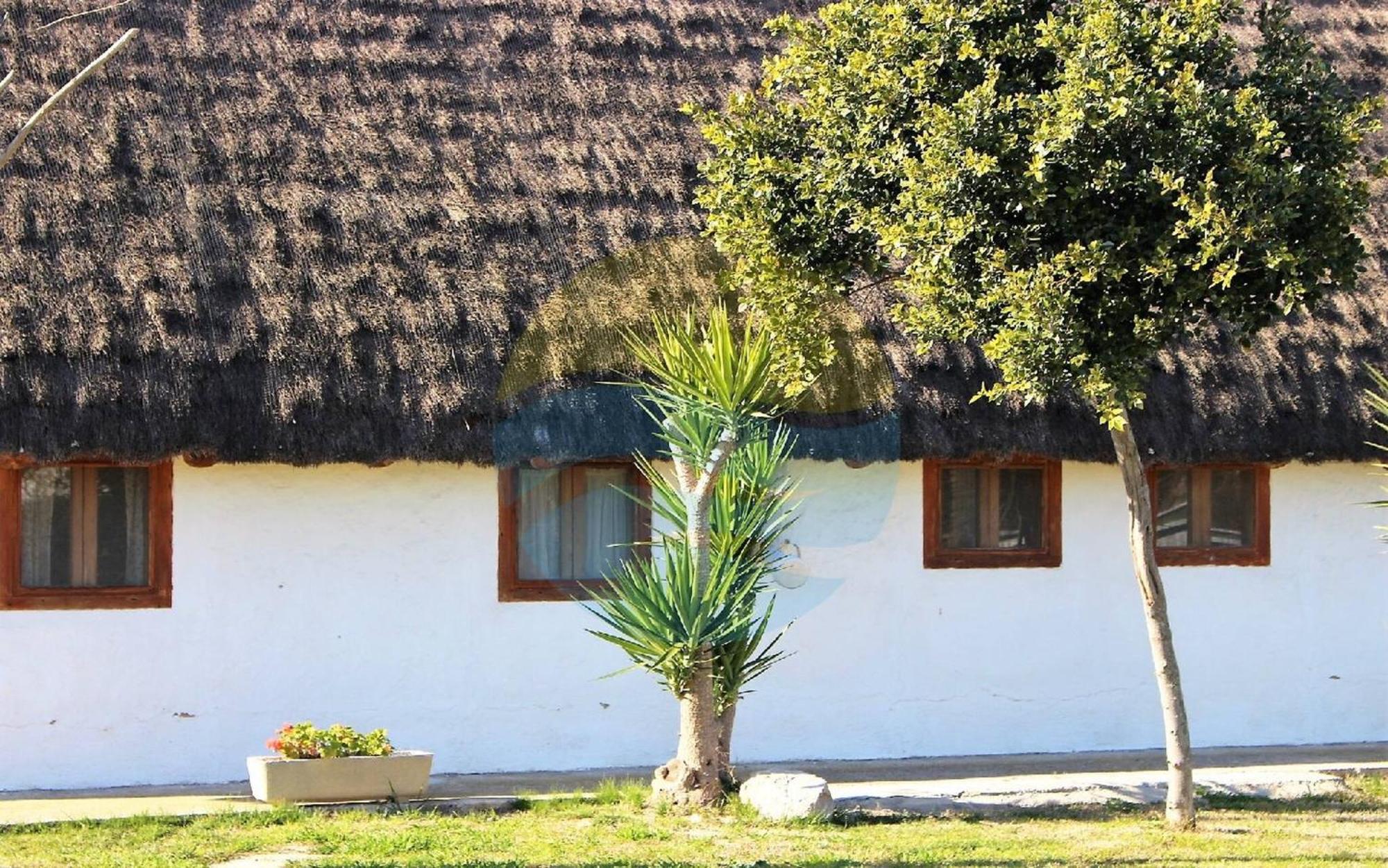 Villa Barraca típica del Delta, con piscina, jardín y barbacoa Sant Jaume d'Enveja Exterior foto